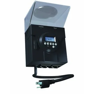 2026_06_11_318743